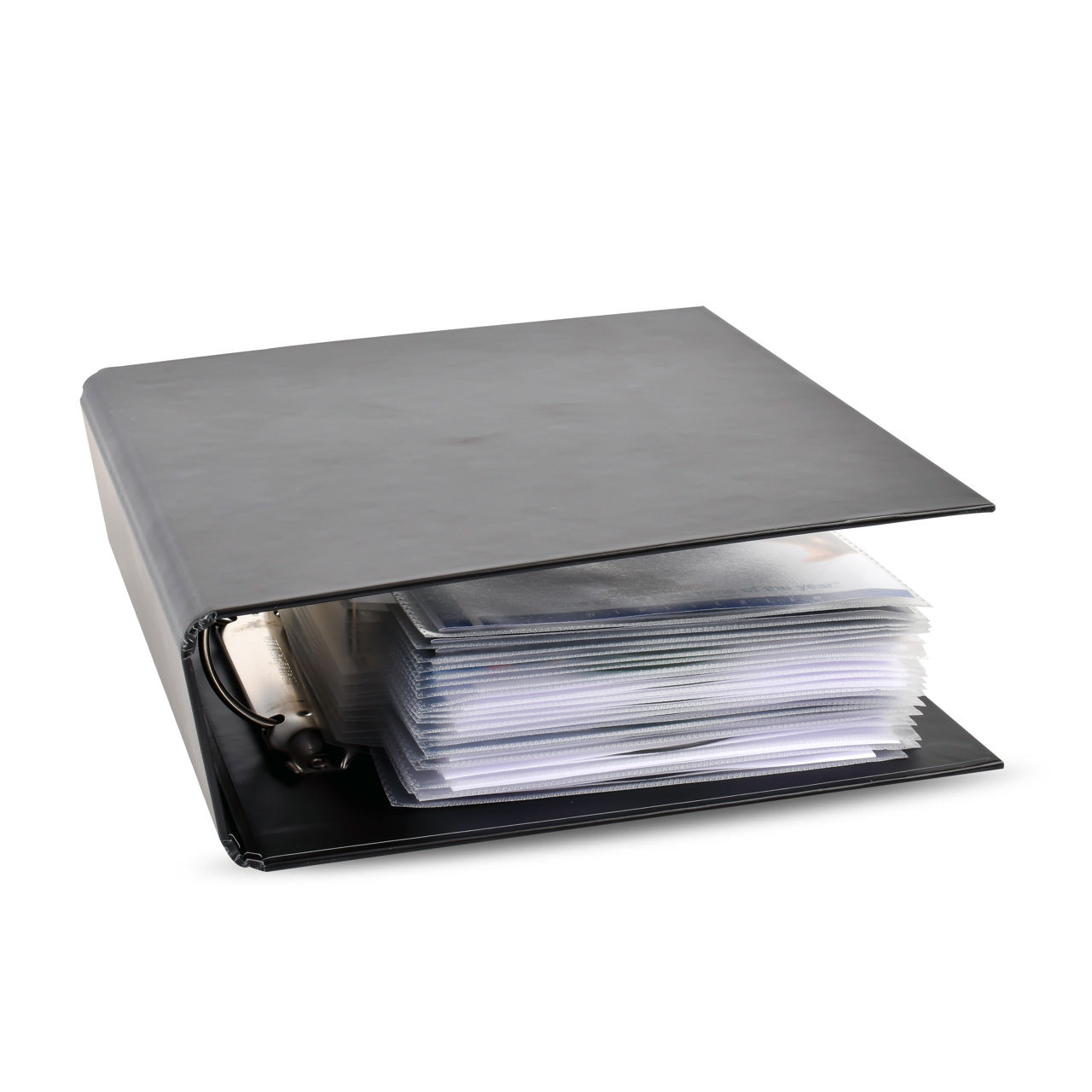 DVD Binder for DVD Sleeves