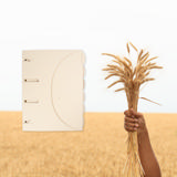 Tree-Free Smartfolder rei'itetty kansio, välilehdellä, A4