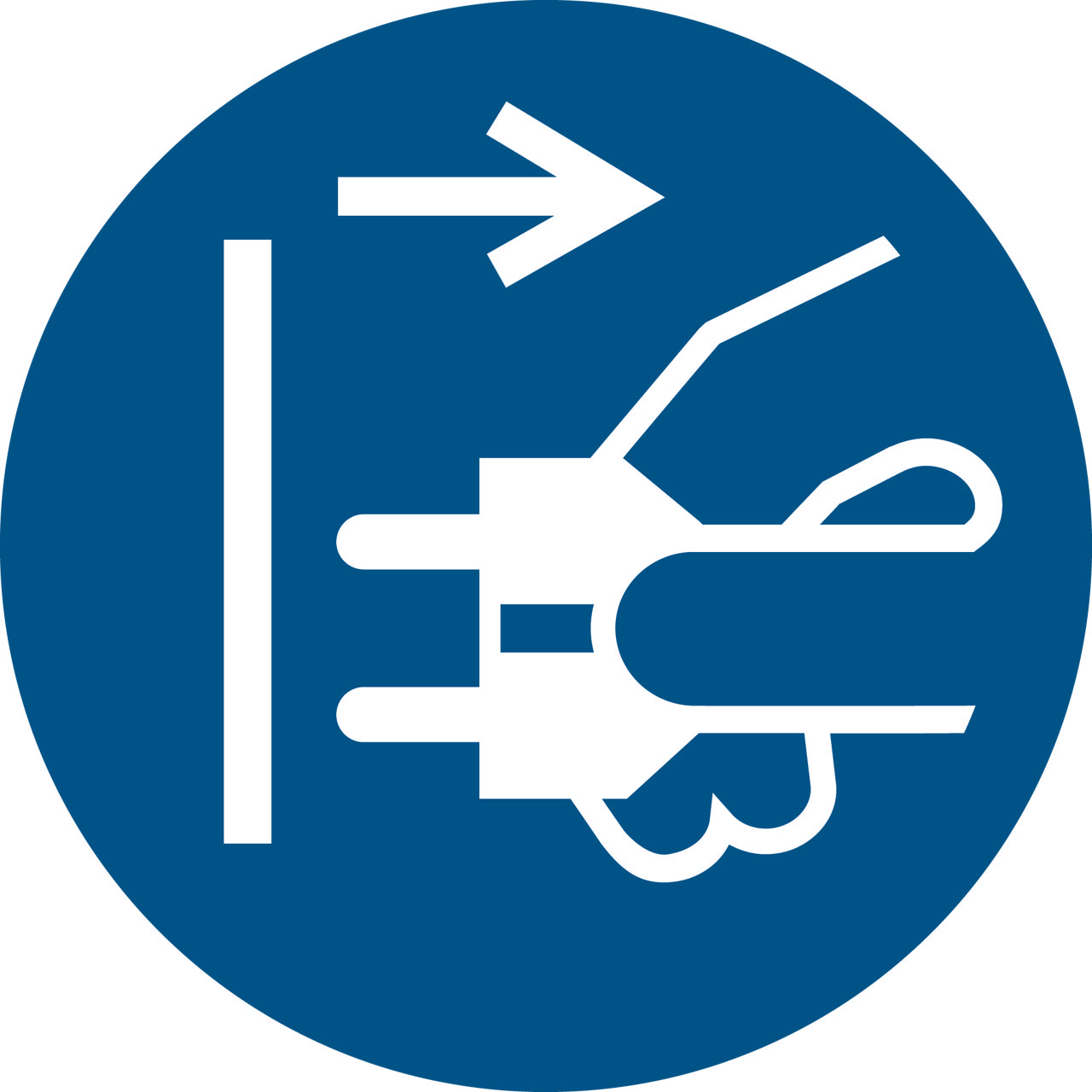 Safety Sign Disconnect Mains Plug from Electrical Outlet, 100 mm